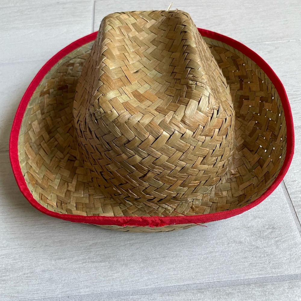 Hat - Picture 4 of 4
